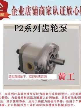 D40P46P61RPRP21 22齿轮泵21D4021P0RP02PP  D4RPD1 21