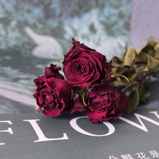 暗红色玫瑰干花A级质感真花客厅插花送女友生日礼品圣诞节花束DIY