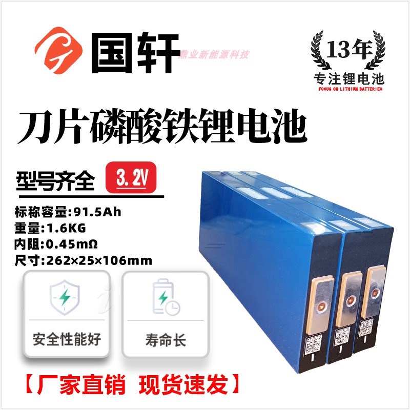 全新A品国轩刀片磷酸铁锂电池3.2V91.5安两轮三轮车动力储能驻车图片