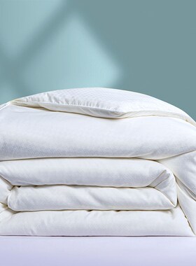 1.6x2.1米学生宿舍单人被芯160*210cm春秋被加厚保暖冬被双人被子