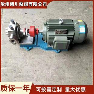 KCB55不锈钢齿轮泵结实化工泵食品卫生泵1.5千瓦保温泵