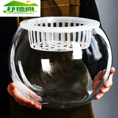 水培植物玻璃瓶透明花瓶水养容器绿萝F花盆养鱼器皿大鱼缸室内摆