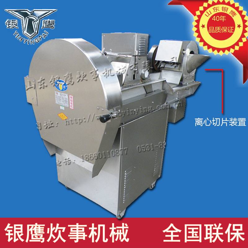 银鹰CHD-80II多功能切菜机食堂酒店多用不锈钢切菜机丁丝片