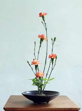 花器陶瓷花盘 禅意日式插花中式茶席花插小原流池坊花盆送剑山