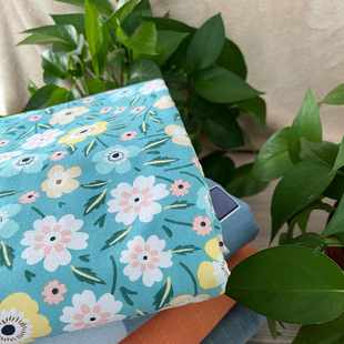 掌柜推荐 250 250cm枕套一对 全棉加厚 新疆长绒棉床单枕套三件套