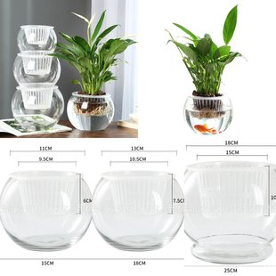 促销水培植物玻璃瓶绿萝大号加厚玻璃花盆圆球型鱼缸器皿花瓶