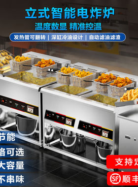 商用电热大容量立式炸炉单缸双缸油炸锅炸鸡智能恒温不锈钢油条机