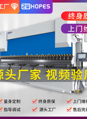 电液伺服折弯机 ESA操作数控折弯机100吨数控液压重望控股