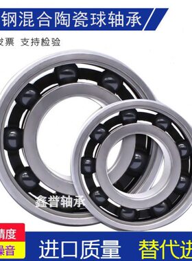 6400060960不锈钢3 高速52 混合90699陶瓷690  S60球9 1轴承69 6
