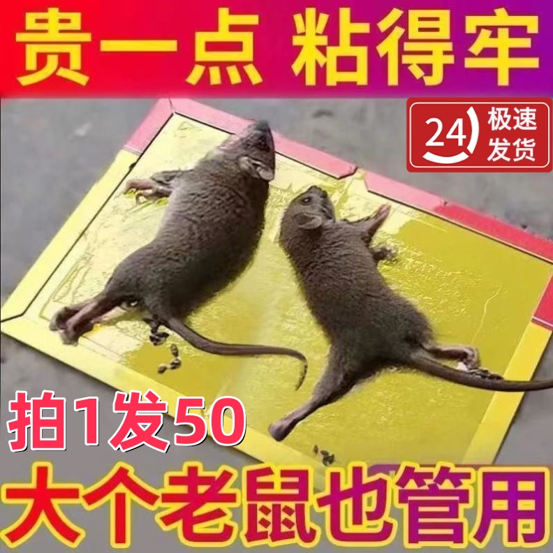 大号粘鼠板老鼠黏强力粘大老鼠胶家用黏胶鼠神器老鼠粘.强力粘鼠