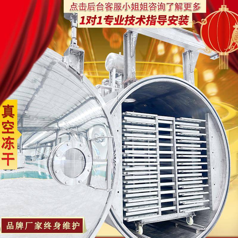 FD食品冻干机大型小型除水延长保质期冻干机设备干燥冻干机制造商