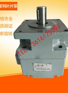 定B1 Y-1.5-125 Y Y-116联 Y叶片泵-BB单 Y123211B Y-B3B20量-1