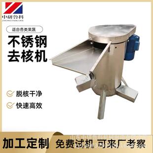 工业大型水果脱核器酸枣油柑樱桃自动去核设备不锈钢冬枣去核机