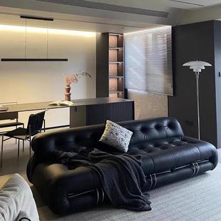 2500g中古风大沙发Soriana河马钢牙客厅 泰迪幼犬犬粮 NuSun 贵宾