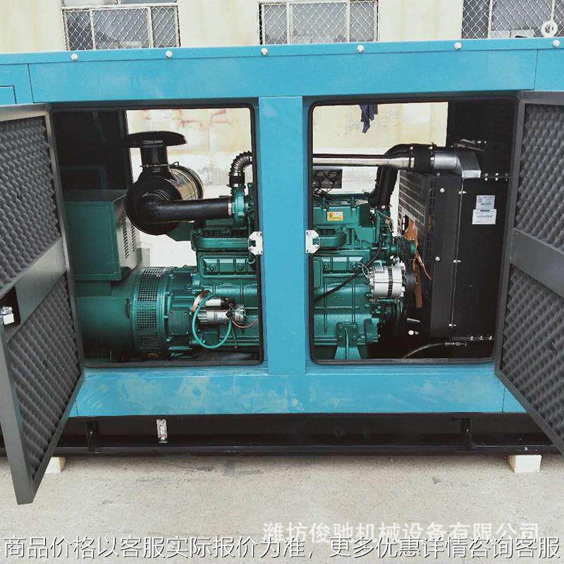 发电机组100kw静音发电机组 全铜无刷发电机组 厂家销售