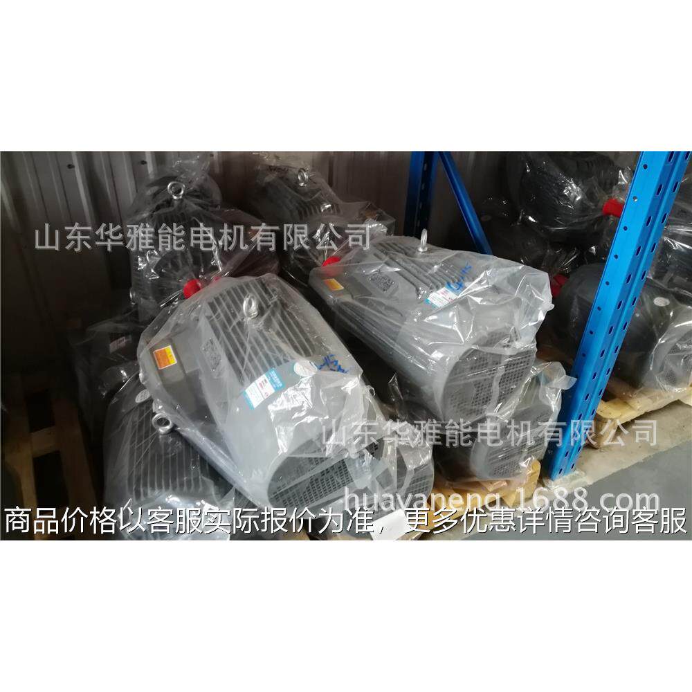 YXL-315M-6-90电机低震动R级S级1AL电机电流大小使用条件选择电缆