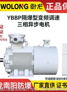 CNE卧龙南阳YBBP防爆变频调速三相异步电机2-16P安装B3 B5 B35 V1
