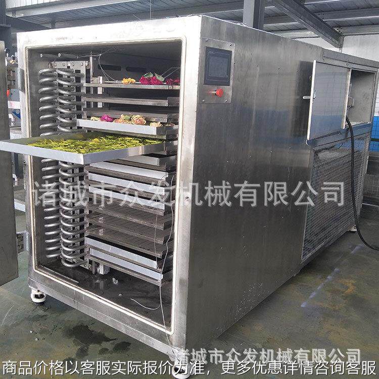 大蒜片真空冻干机 水果低温冷冻干燥机器 食用菌海参冻干机