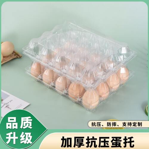 工厂直销叶绿蛋托塑料鸡蛋盒20枚大号鸭蛋包装盒户外蛋盒现货包邮
