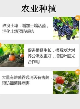 2000亿EM菌原菌种水产养殖农业种植畜牧饲养微生物菌剂发酵菌通用