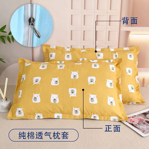 儿童学生枕套一对装100%纯棉枕头套全棉薄款35X55单个装中号40X60