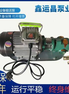 10齿轮油泵V0 手提30C便携式 B/75电动抽油泵C/泵高50B 220WW温/