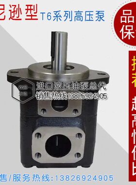 10   30  T1R6C尼逊   丹C11110R B12630100T6油泵BR0TC1 B00