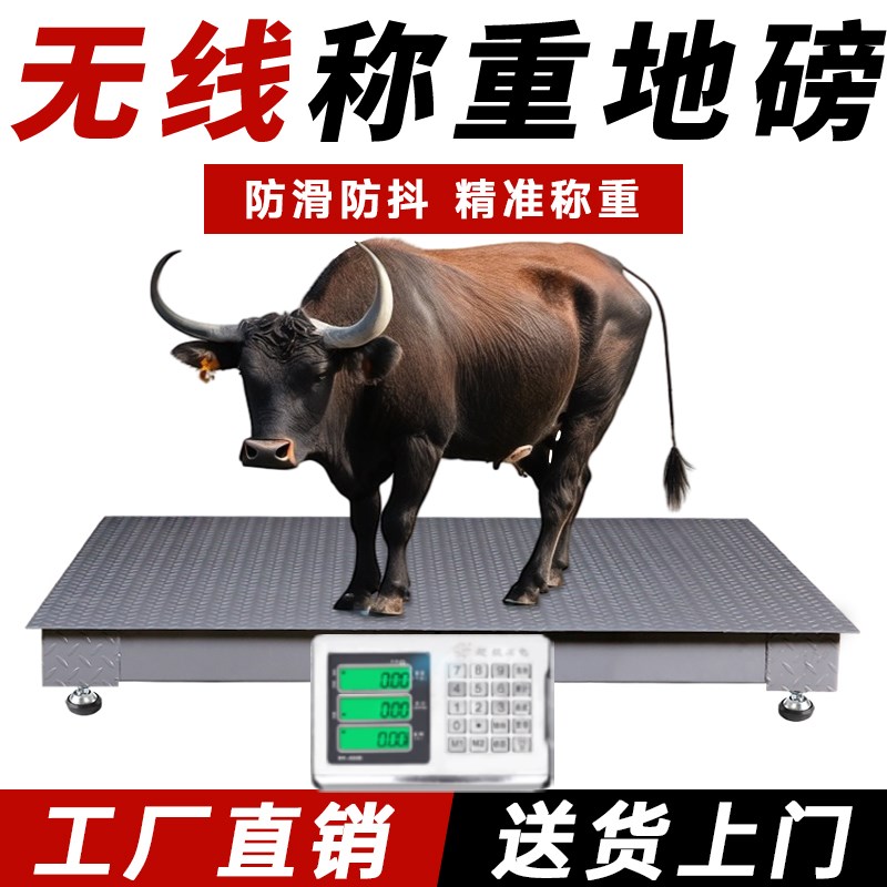 上海耀华电子地磅秤1-3吨高精y度5吨称猪牛羊养殖秤商用电子秤斜