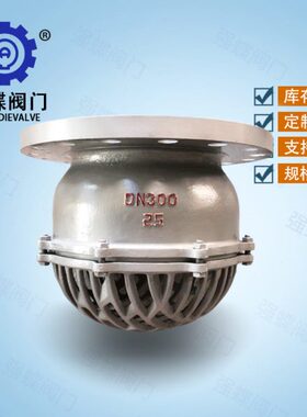 D钢H4水倒流 C止回16-铸防N25阀H底-02DN50