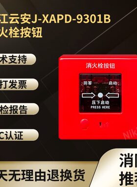 消报安93云1消火栓D10-93X代替D-0松江按钮-2A0AP APJXBJ消报-B