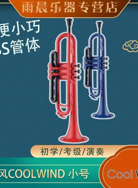 IN0乐器管初学R队考级包邮铜管风COOL降B调演奏CT小号乐W20酷ABSD