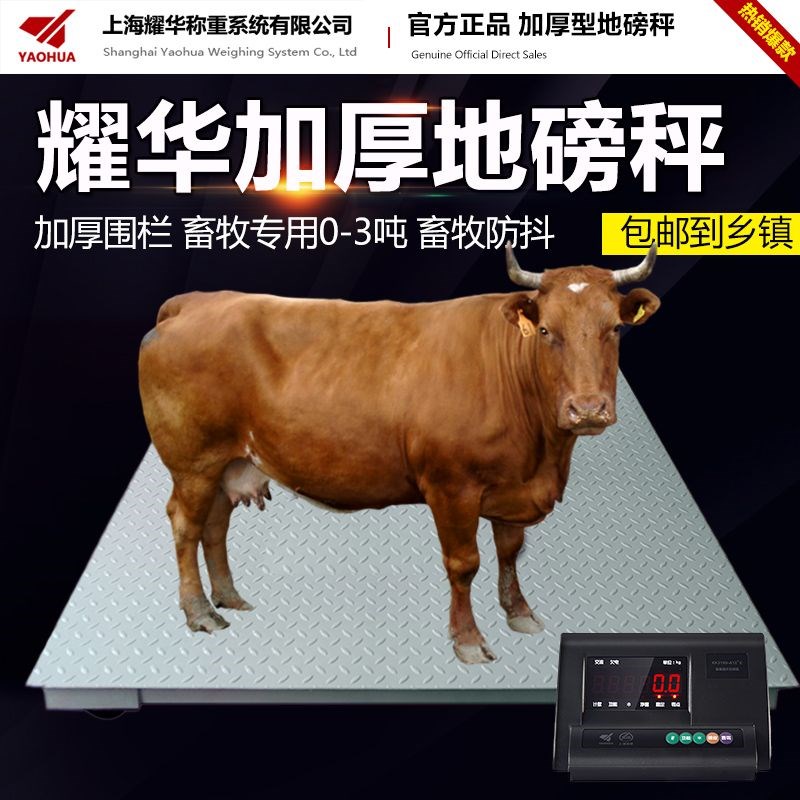 电子地磅秤1-3吨商用5吨500kg磅秤I工业称重电子称大称重磅秤小型