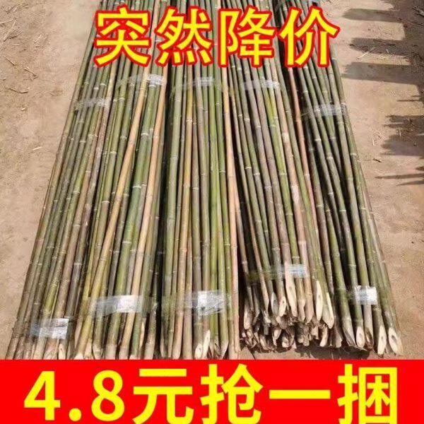 3米小竹杆架杆角豆竹竿菜园搭架竹篱笆条架子黄瓜栅栏围栏棍竹子