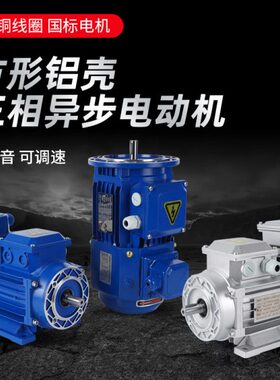 2 7  Y9014327 S 8060V1124FP138-4 4 40L变频调速电机12764P4-9