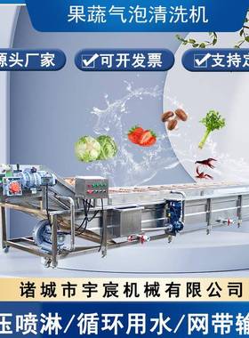 山野菜加工洗菜机芒果猕猴桃气泡清洗机包装袋油污清洗风干流水线