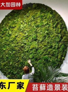 青苔苔藓植物造景永生苔藓植物墙仿真绿植墙装饰材料盒装苔藓