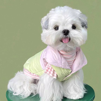 狗狗棉衣马甲泰迪猫咪小