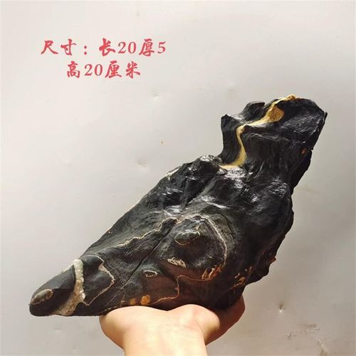 天然石灵璧石盆景石 鱼缸造景 龟纹石 根抱石 花盆造景  盆景石料