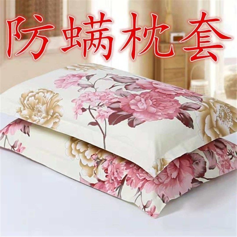 【4874厘米】枕套一对加厚枕头套单人成人磨毛枕芯套学生枕头套