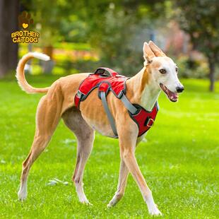 热销狗胸背带可提拉防挣脱遛狗中大型犬外出背心式大狗胸背
