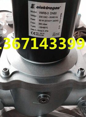 VMR8-3燃气电磁阀 意大利伊莱克斯elektrogas燃气安全切断阀DN80