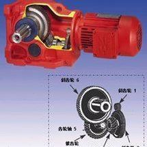 DLKF01.02.03.04.05.06.07.08.09.10.11.12减速机电机齿轮箱马达