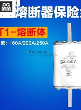 陶瓷熔断器熔芯NT1 RT16-1*R032 RT20 160A 200A 250A保险管 250A