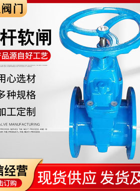 供应暗杆软闸 球墨铸铁 弹性座封软密封阀 法兰软密封闸阀  DN250