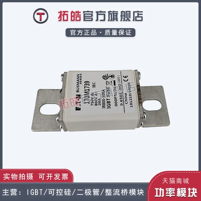 快速保险丝熔断器现货170M1760/1761/1762/1770/1771/1772/1773