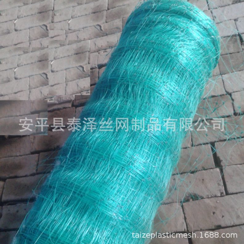 植物人参养殖网 塑料植物爬藤防倒伏网 绿色聚乙烯防护网定 制