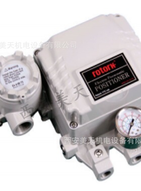 罗托克永泰YTC电气阀门定位器YT-1000R系列YT1000RDn132S00选型