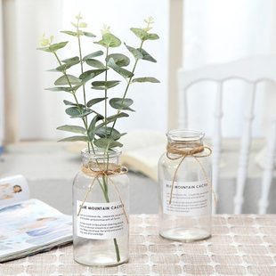 创意玻璃花瓶透明摆件假花尤加利水培植物绿萝花瓶小摆件客厅简约