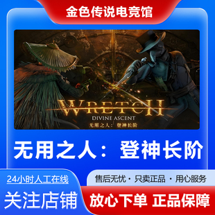 Steam正版 无用之人：登神长阶 国区礼物 好友礼物激活码cdk