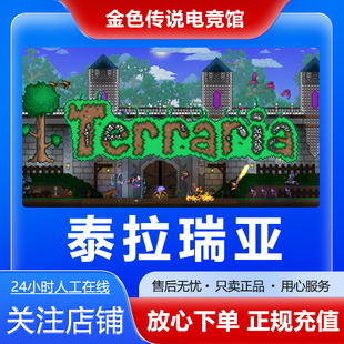 Steam正版 泰拉瑞亚 国区礼物 好友礼物激活码cdk Terraria